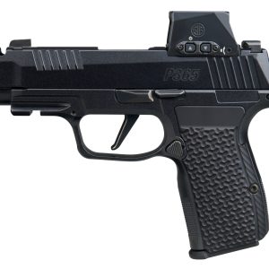 SIG SAUER P365 AXG LUXE 380ACP 12+1 ROMX