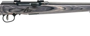 SAVAGE A17 17WSM SPORTER 22" - ACCU TGR BLU/GRY LAM SPORTER