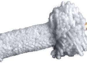 BREAKTHROUGH AR-10 CHAMBER MOP
