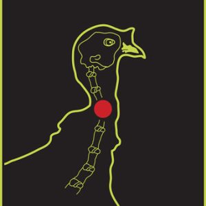 SPLATTER SHOT TARGET 12"X18" - TURKEY 8PK